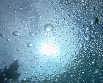 武藤潜水に投稿された画像（2024/8/21）