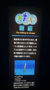 大分マリーンパレス水族館 「うみたまご」に投稿された画像（2024/8/21）