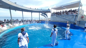 大分マリーンパレス水族館 「うみたまご」に投稿された画像（2024/8/21）