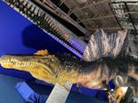 巨大恐竜展2024に投稿された画像（2024/8/21）