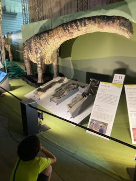 巨大恐竜展2024に投稿された画像（2024/8/21）