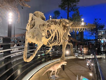 福井県立恐竜博物館に投稿された画像（2024/8/21）