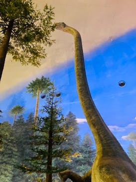 福井県立恐竜博物館に投稿された画像（2024/8/21）