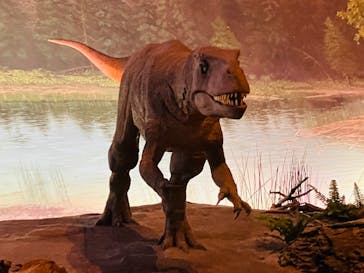 福井県立恐竜博物館に投稿された画像（2024/8/21）