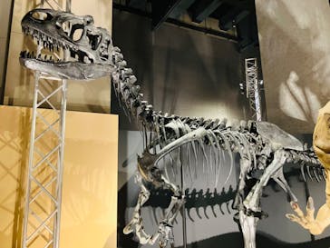 福井県立恐竜博物館に投稿された画像（2024/8/21）