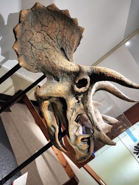 岐阜県博物館に投稿された画像（2024/8/21）