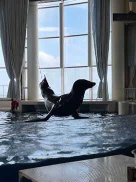 アクアワールド茨城県大洗水族館に投稿された画像（2024/8/21）