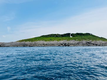 東尋坊観光遊覧船株式会社に投稿された画像（2024/8/21）