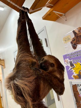 アニタッチ MARK IS 静岡に投稿された画像（2024/8/21）