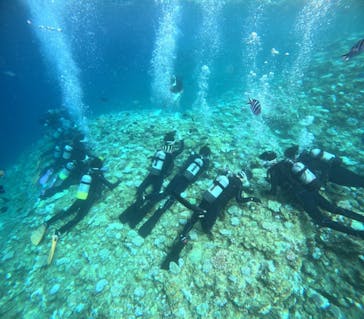 青の洞窟専門店　沖縄ダイビングショップ和に投稿された画像（2024/8/21）