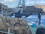 名古屋港水族館に投稿された画像（2024/8/21）