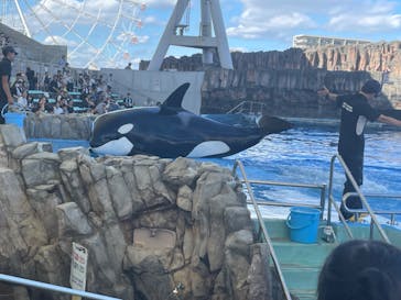 名古屋港水族館に投稿された画像（2024/8/21）