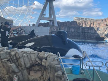 名古屋港水族館に投稿された画像（2024/8/21）