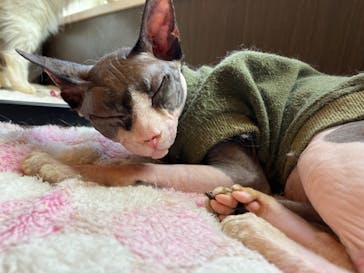 つくばわんわんランドに投稿された画像（2024/8/21）