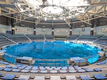 マクセル アクアパーク品川に投稿された画像（2024/8/21）