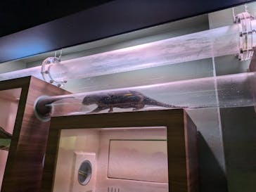 マクセル アクアパーク品川に投稿された画像（2024/8/21）