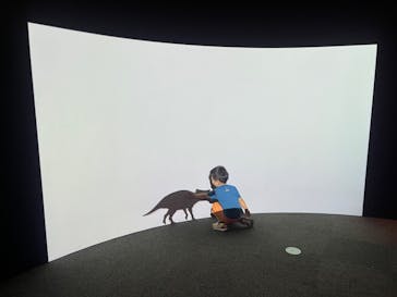 大阪市立自然史博物館に投稿された画像（2024/8/21）