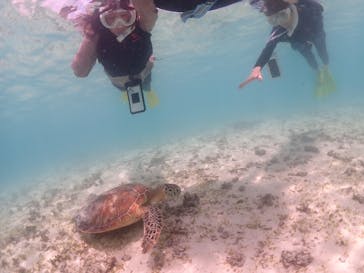 宮古島マリン GB QUESTに投稿された画像（2024/8/21）