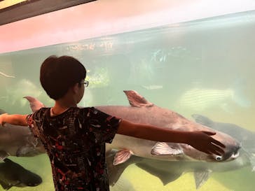 世界淡水魚園水族館　アクア・トトぎふに投稿された画像（2024/8/21）