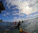 武藤潜水に投稿された画像（2024/8/21）