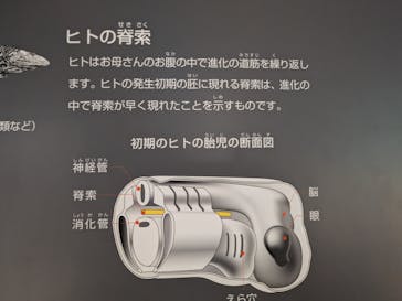 福井県立恐竜博物館に投稿された画像（2024/8/21）