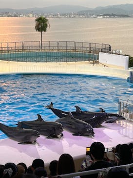マリンワールド海の中道に投稿された画像（2024/8/21）