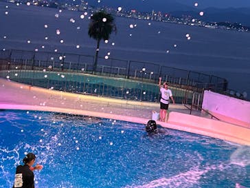 マリンワールド海の中道に投稿された画像（2024/8/21）