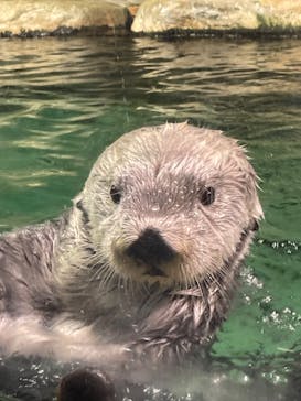 マリンワールド海の中道に投稿された画像（2024/8/21）