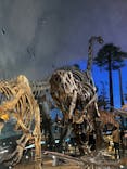 福井県立恐竜博物館に投稿された画像（2024/8/13）