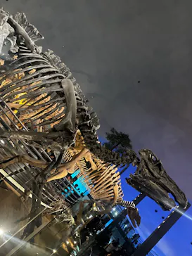 福井県立恐竜博物館に投稿された画像（2024/8/13）