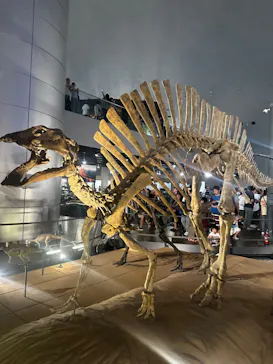 福井県立恐竜博物館に投稿された画像（2024/8/13）