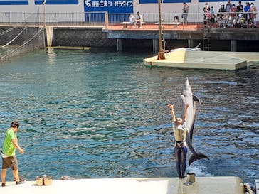 伊豆・三津シーパラダイスに投稿された画像（2024/8/21）