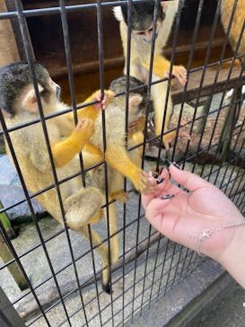 伊豆シャボテン動物公園に投稿された画像（2024/8/21）