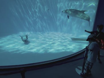 名古屋港水族館に投稿された画像（2024/8/21）