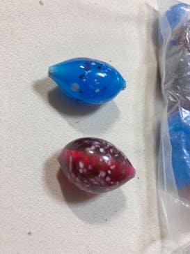 ガラス工房"邦"に投稿された画像（2024/8/21）