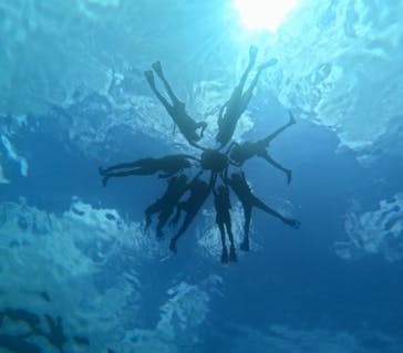 石垣島 ADVENTURE PiPi（イシガキジマアドベンチャーピピ）に投稿された画像（2024/8/21）