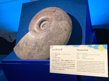 巨大恐竜展2024に投稿された画像（2024/8/21）