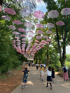 ムーミンバレーパークに投稿された画像（2024/8/21）