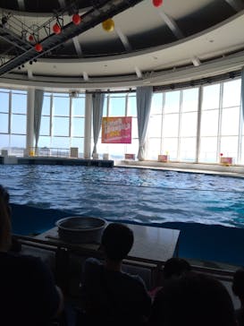 アクアワールド茨城県大洗水族館に投稿された画像（2024/8/21）