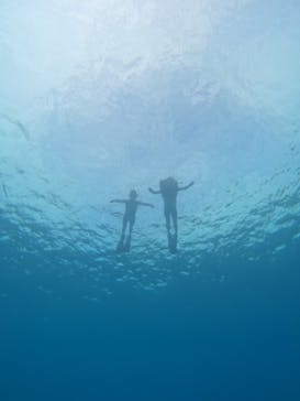 DIVING-SHOP SUNSに投稿された画像（2024/8/21）