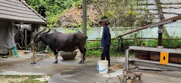 琉球村に投稿された画像（2024/8/21）
