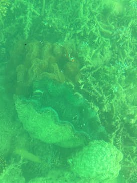 まりんはうすぐるくんに投稿された画像（2024/8/21）