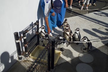 越前松島水族館に投稿された画像（2024/8/21）