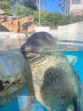 越前松島水族館に投稿された画像（2024/8/21）