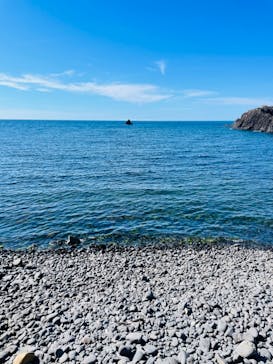 越前松島水族館に投稿された画像（2024/8/21）