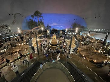 福井県立恐竜博物館に投稿された画像（2024/8/21）