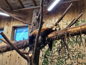 伊豆シャボテン動物公園に投稿された画像（2024/8/21）