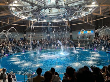 マクセル アクアパーク品川に投稿された画像（2024/8/21）