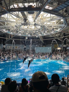 マクセル アクアパーク品川に投稿された画像（2024/8/21）