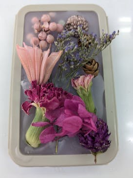 ずこうしつ〜sugamo〜に投稿された画像（2024/8/21）